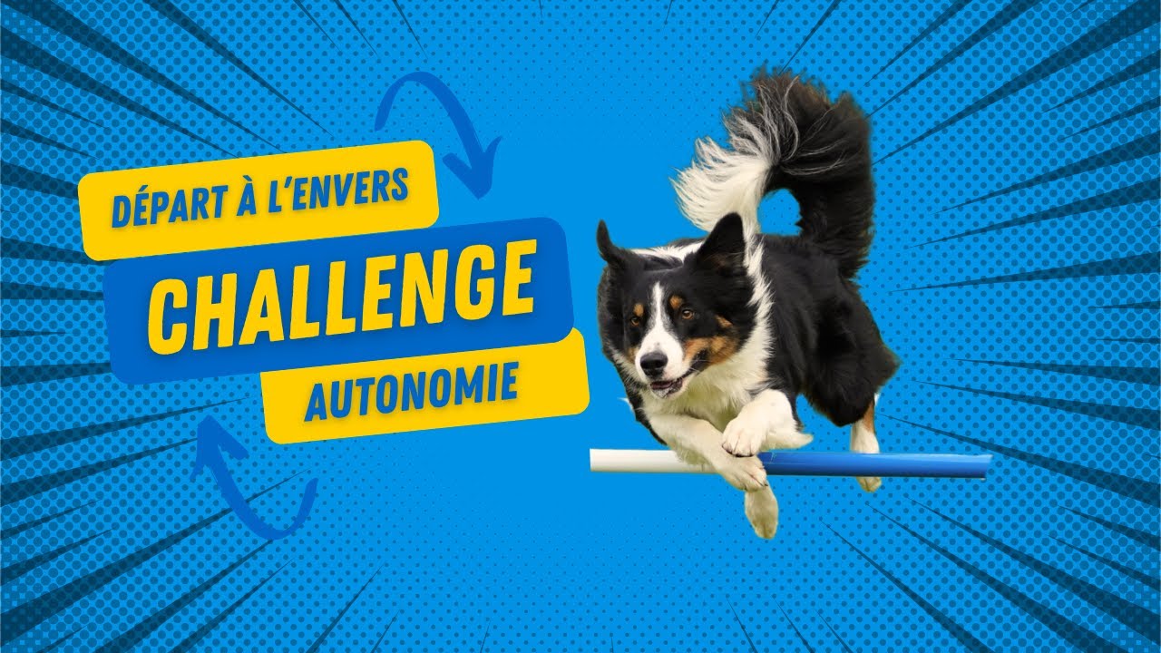 Challenge Agility n°1: un départ à l'envers en autonomie