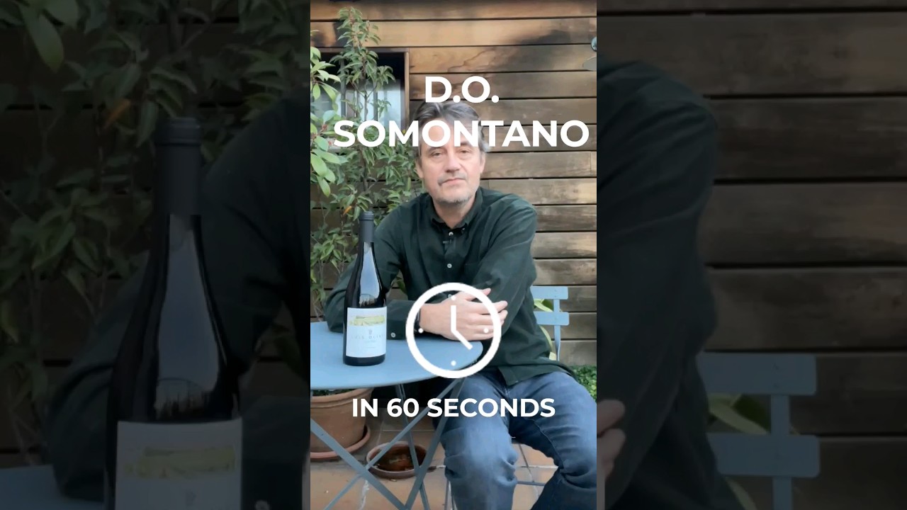 DO Somontano in 60 seconds - #shorts
