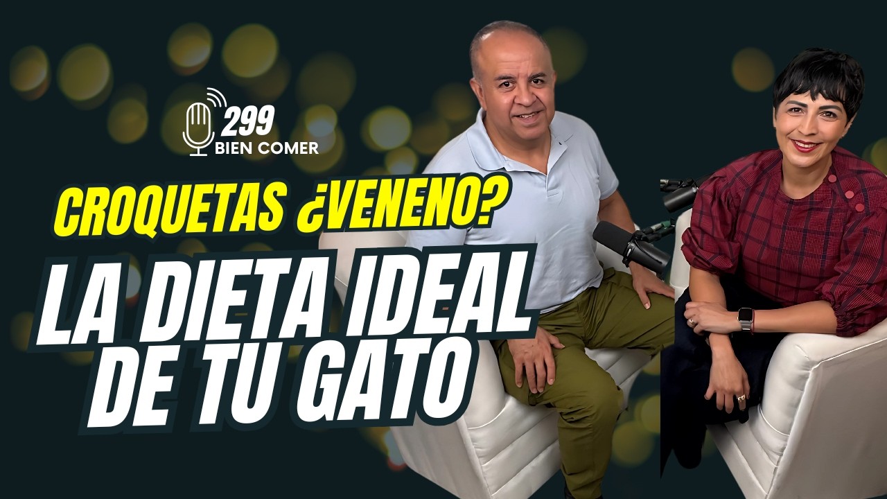 La mejor comida para GATOS 🐈‍⬛ 