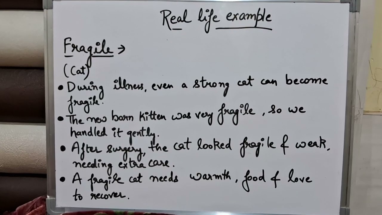 FRAGILE Meaning with Real Life Examples | Learn English Easily