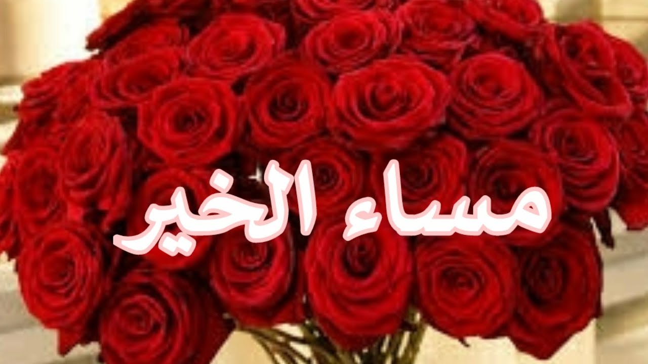 مساء&nbsp;الخير❤️مسائكم سعادة🌷💕   مساء الورد🌺أجمل حالات مساء الخير🌺حالات واتس اب🌺مقاطع قصيرة
