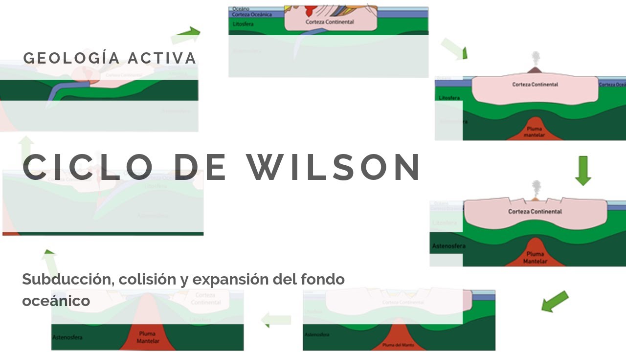 CICLO DE WILSON {explicación con todas sus etapas} ⚒⛏😃---- [GEOLOGÍA]
