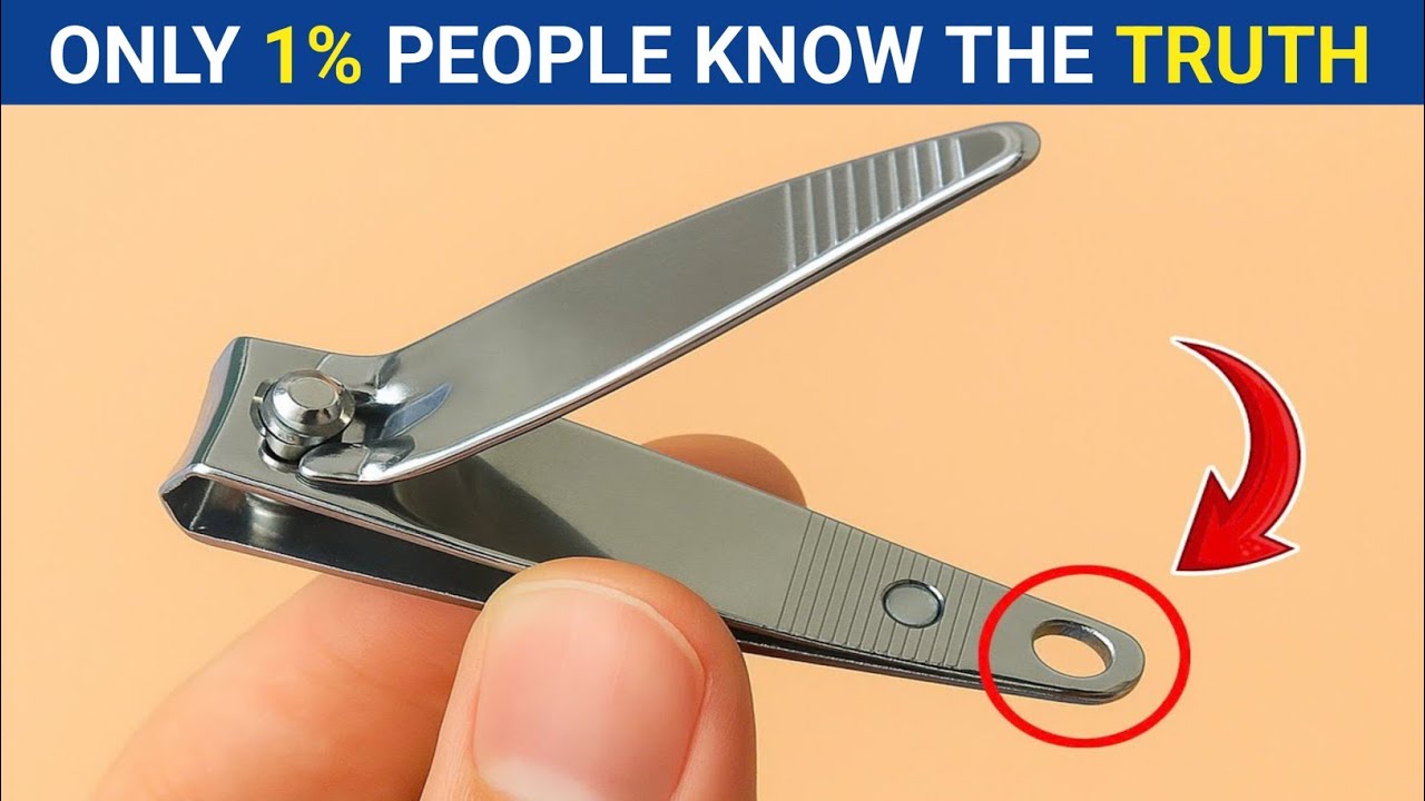 The Hidden Truth Behind Everyday Objects (99% People Miss This)!