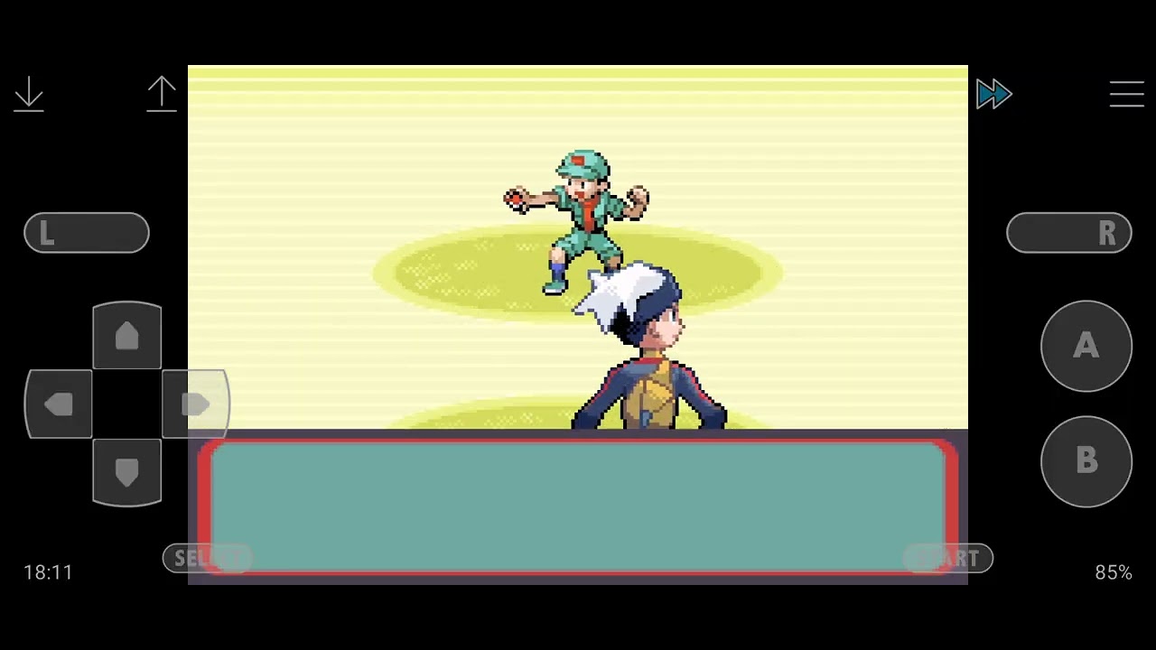 Pokémon rubis parti 6
