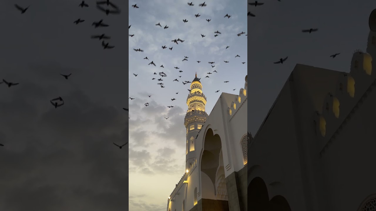 Islamic Background Video - No Copyright - Mosque Video