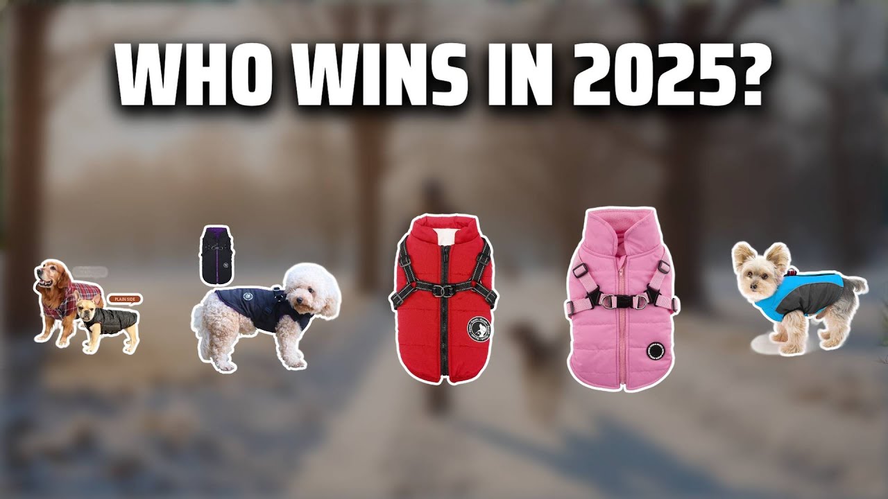 The Top 5 Best Dog Coats in 2025 - Must Watch Before Buying!