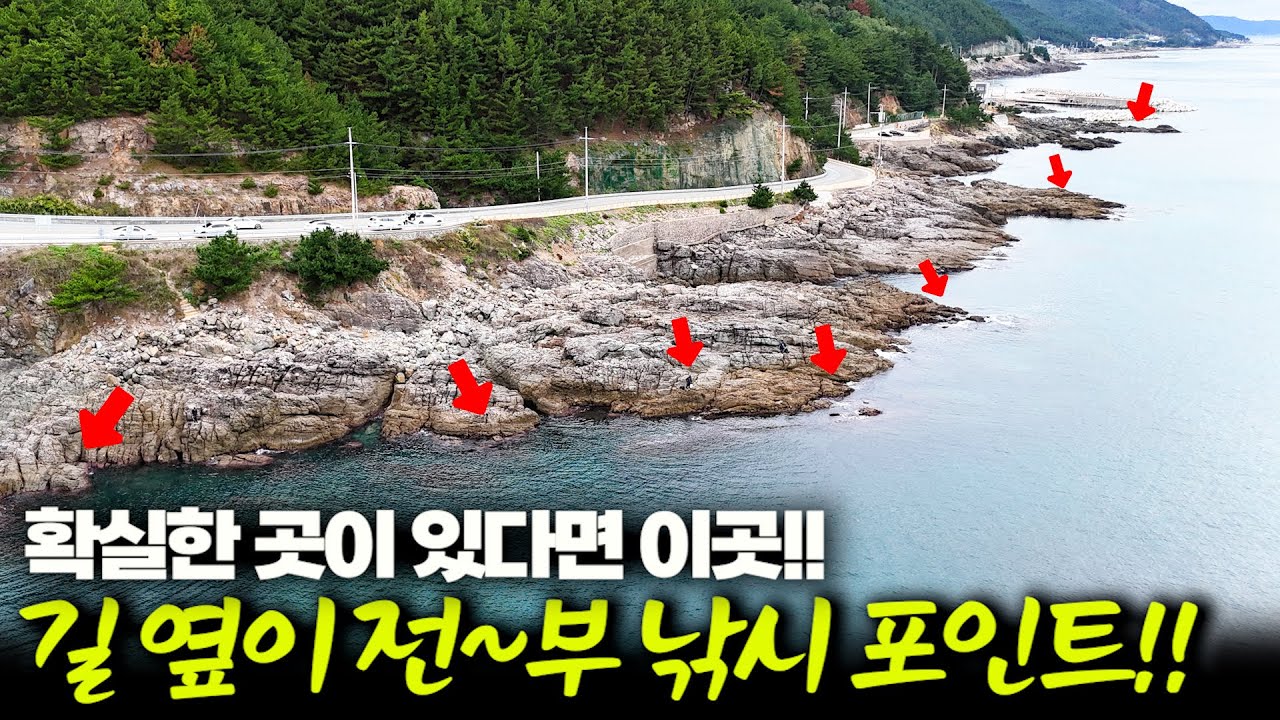 길 옆이 전부 포인트?? 무늬오징어 낚시의 미래는 바로 이곳입니다 킄ㅋㅋ (박선비tv)