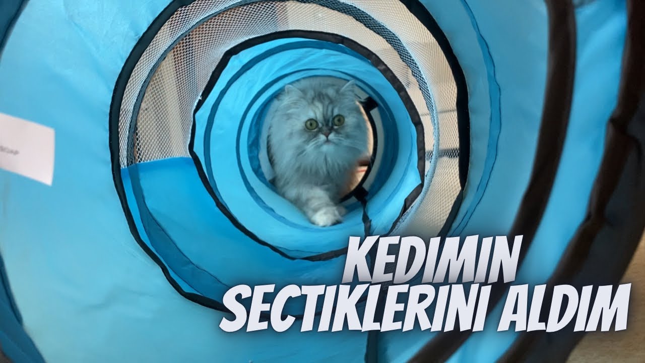 Kedimin seçtiği oyuncakları aldım, ayrıca sürpriz hediye ve indirimler de var...