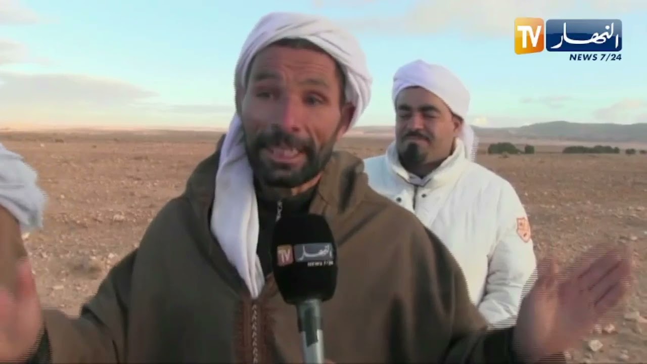 الجلفة : شباب يختار من جني الفقاع والثمار الطبيعية مصدر قوتهم اليومي