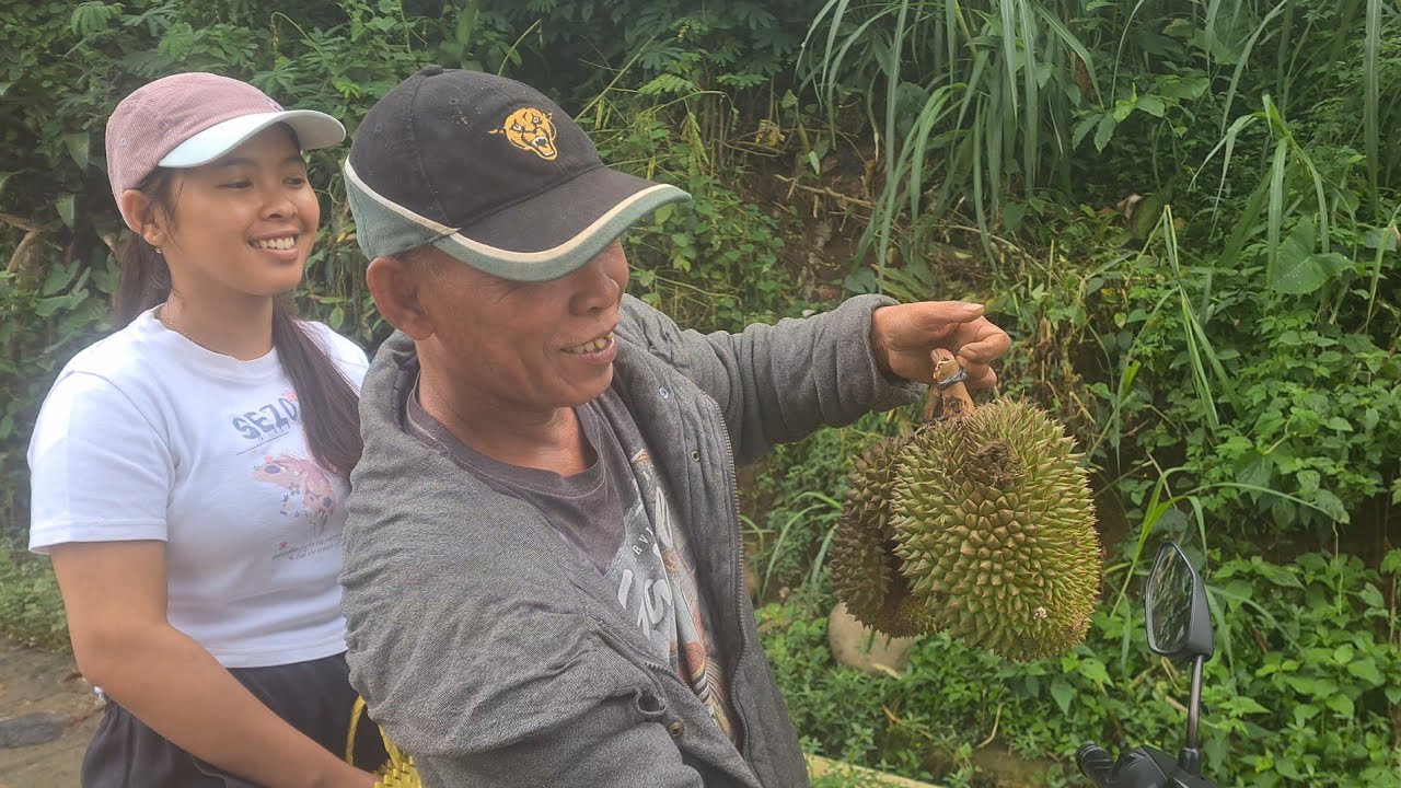 aktivitas warga pedesaan wonosalam,ada yang panen durian,angkut kayu ,dan pertukangan