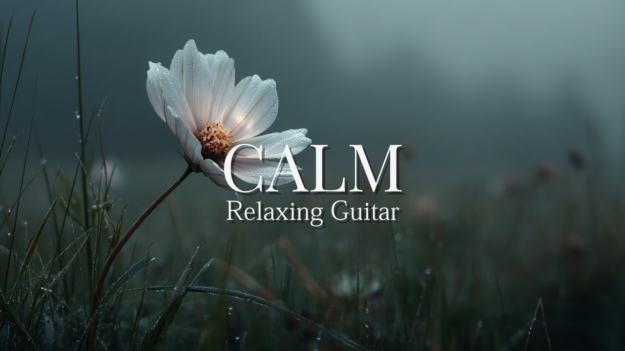 CALM – Где тишина исцеляет сердце｜Расслабляющая гитара 120 мин (учёба, работа, фокус, отдых)
