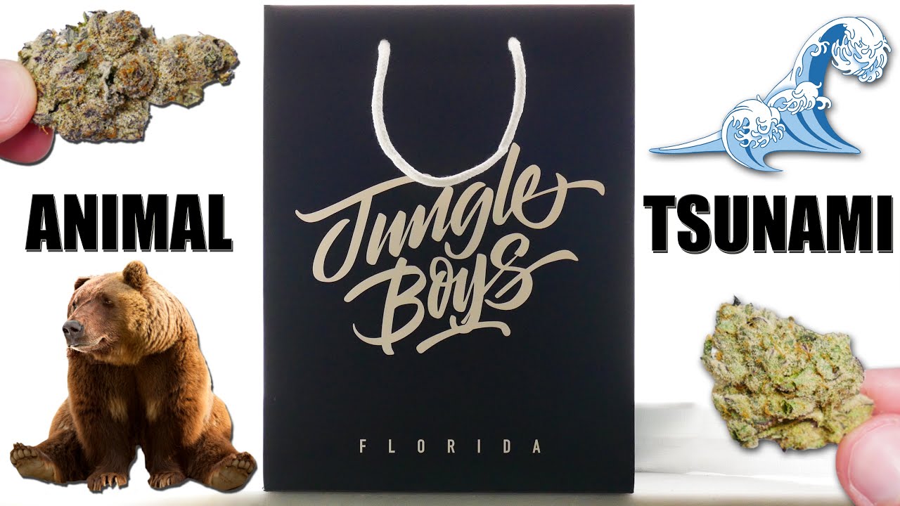 Jungle Boys Animal Tsunami Flower (NEW STRAIN! SEWEY SPECIAL) | Strain Review by Randy Rhoads FL