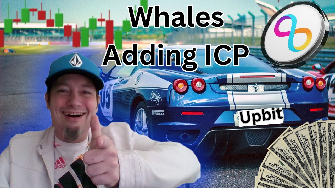 Огромный кит перемещает интернет-компьютер ICP