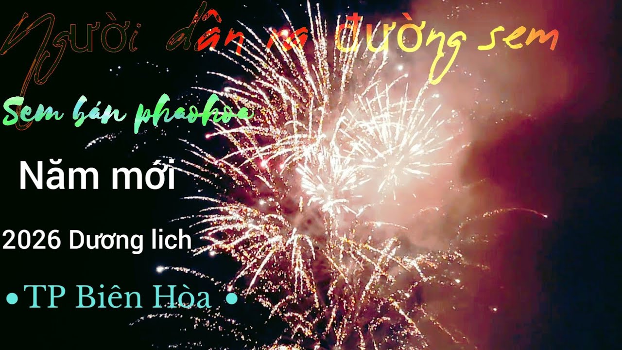 Người dân TP Biên Hòa da đường  sem bám  phao hoa ngệ thuật  đón 2026 Dương lich 