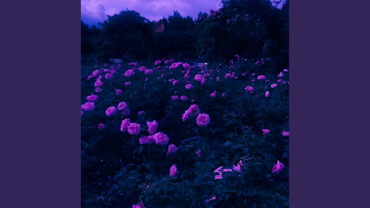 shining brightly (Slowed)