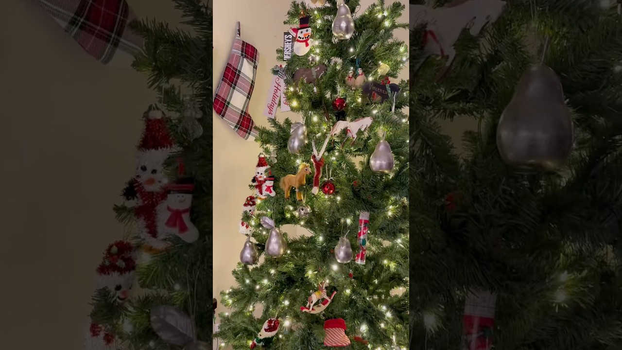 Christmas 2024❤️ #christmas #vlog #christmasvlog #dayinmylife #familytime