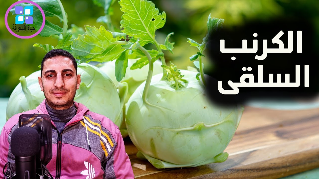 فوائد رائعة للكرنب السلقى كنز الخضروات السحرية الكرنب السلقى ؟؟