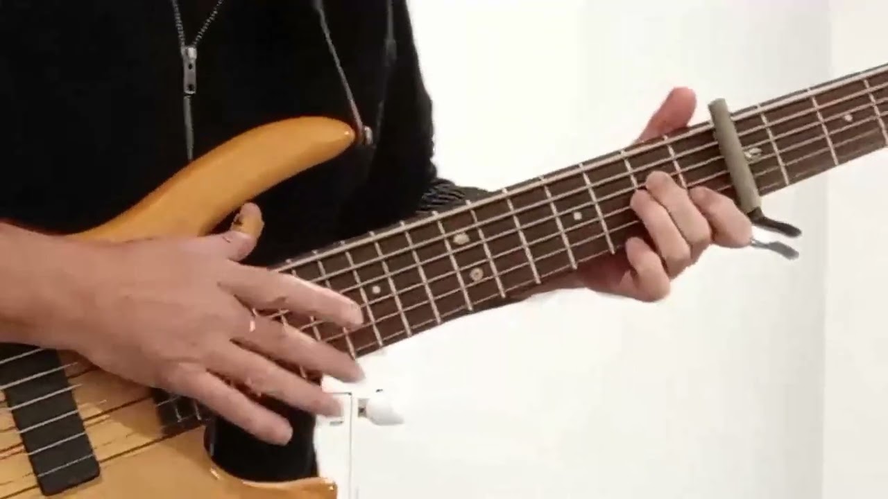 Monsoon rain  monsunska kiša Marinko Pintarić (bass guitar)