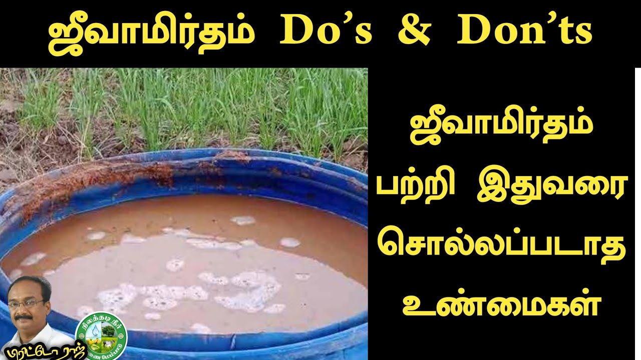 ஜீவாமிர்தம் பற்றி இதுவரை சொல்லப்படாத தகவல்கள் Do's & Don'ts