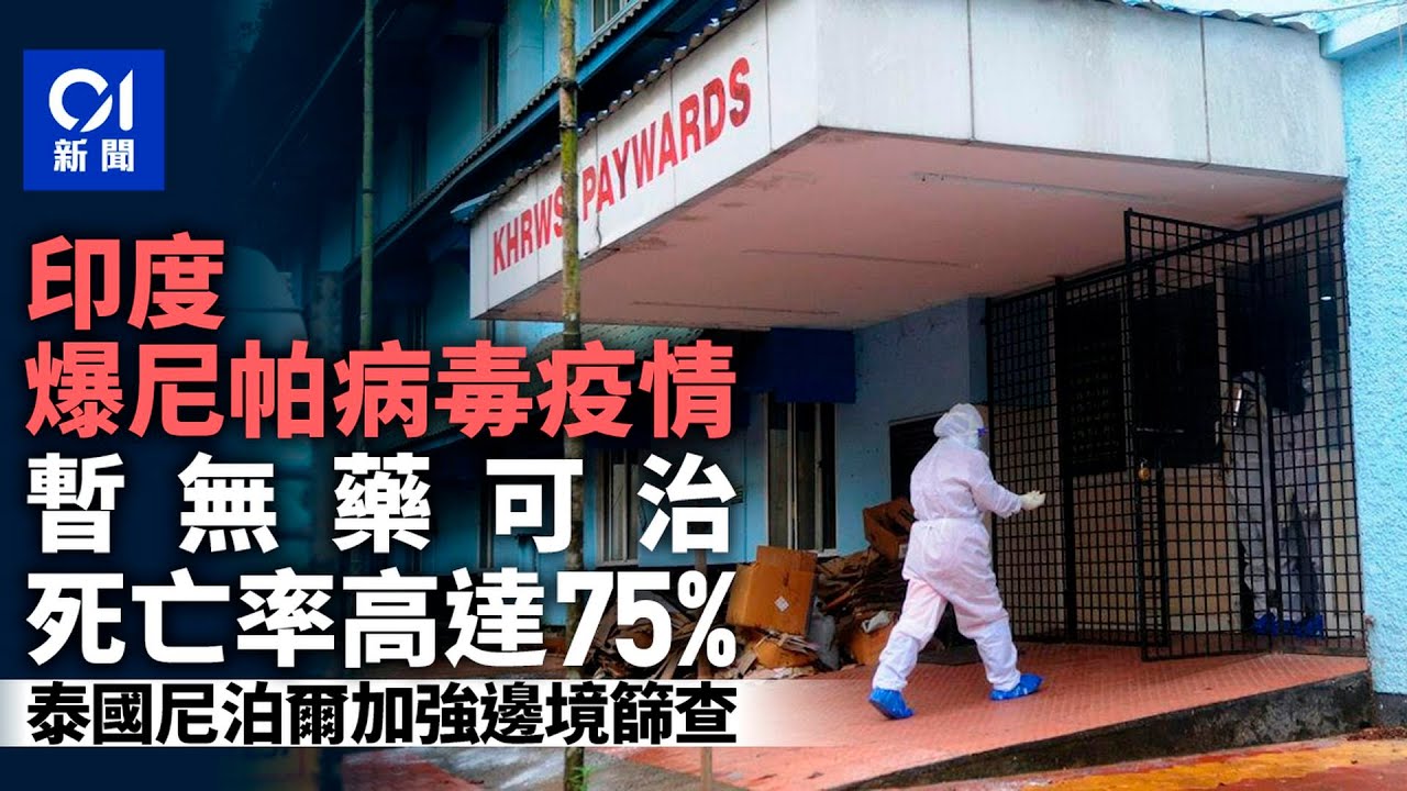 【01秒看新聞】尼帕病毒｜印度錄得5個案 近百人隔離 世衛：致死率可達75%｜01新聞｜疫情｜Nipah Virus｜尼帕病毒｜致死率｜世衛