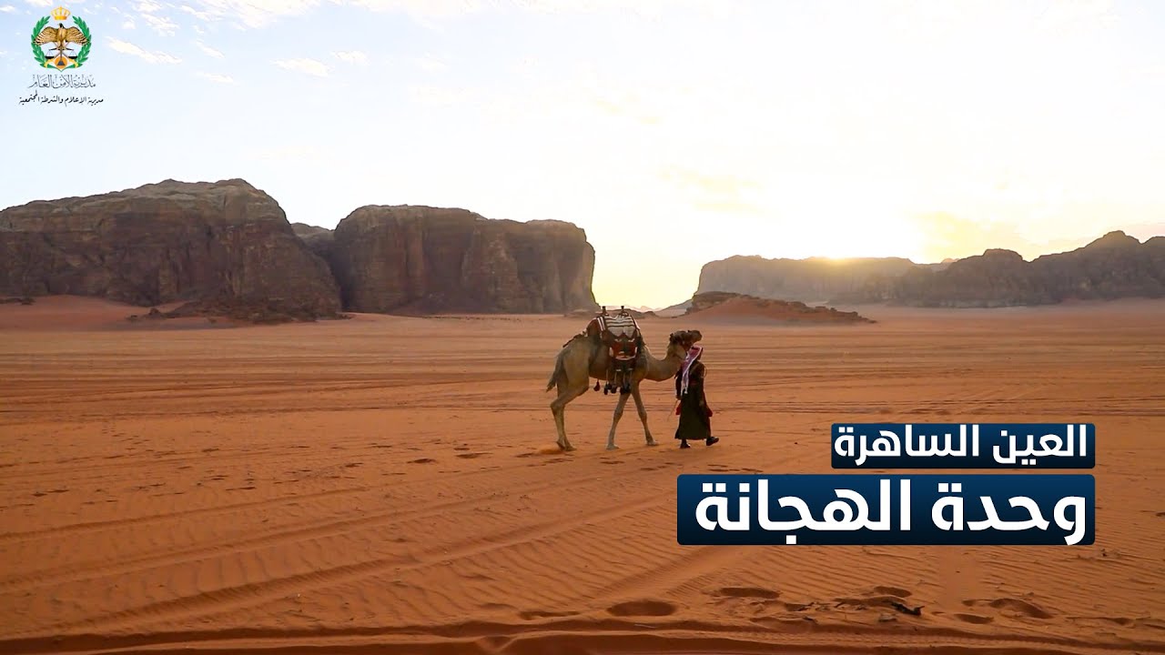 العين الساهرة | وحدة الهجانة