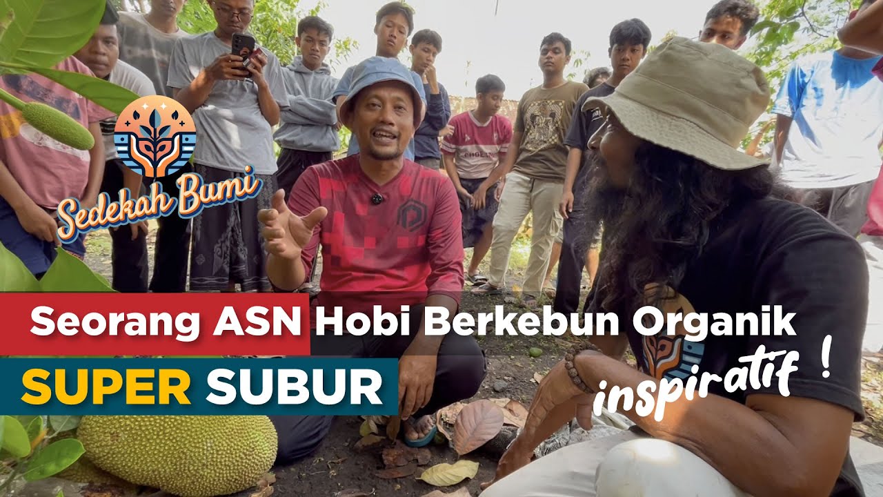 Seorang ASN Hobi berkebun Organik Super Subur