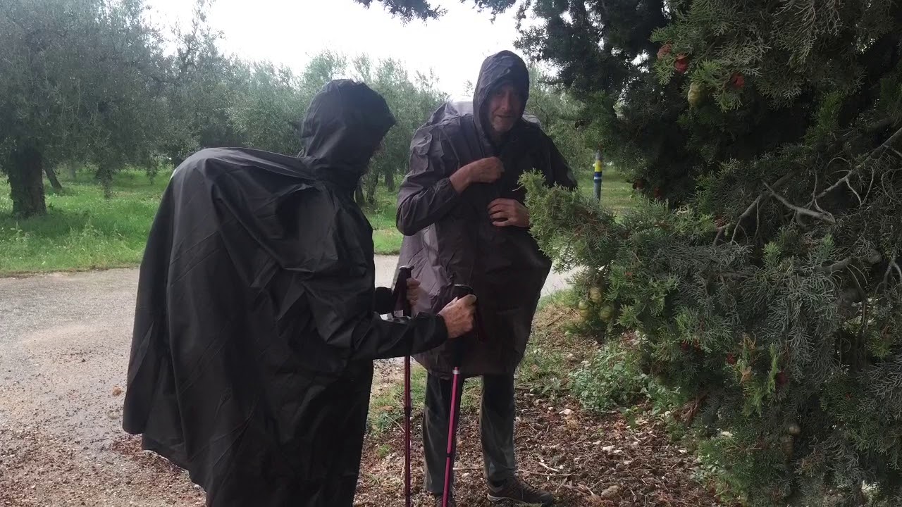 Cammino da Roma a Assisi 24 set - 4 ott 2019