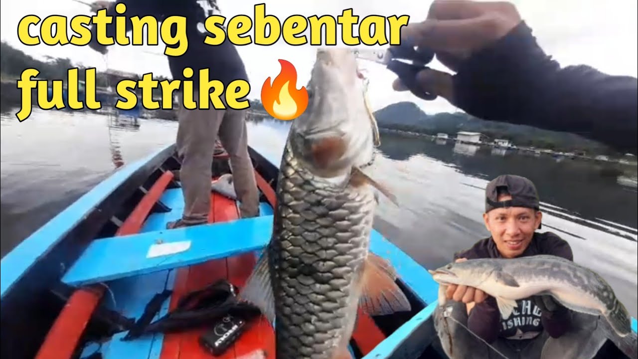 Casting HAMPALA & TOMAN waduk saguling#fishing
