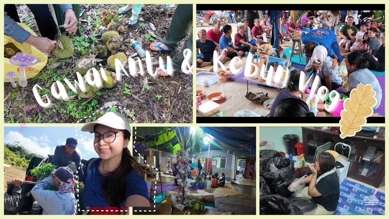 Gawai Antu 🌾🌿 | Iban Culture & Farm Life 🦆🌳