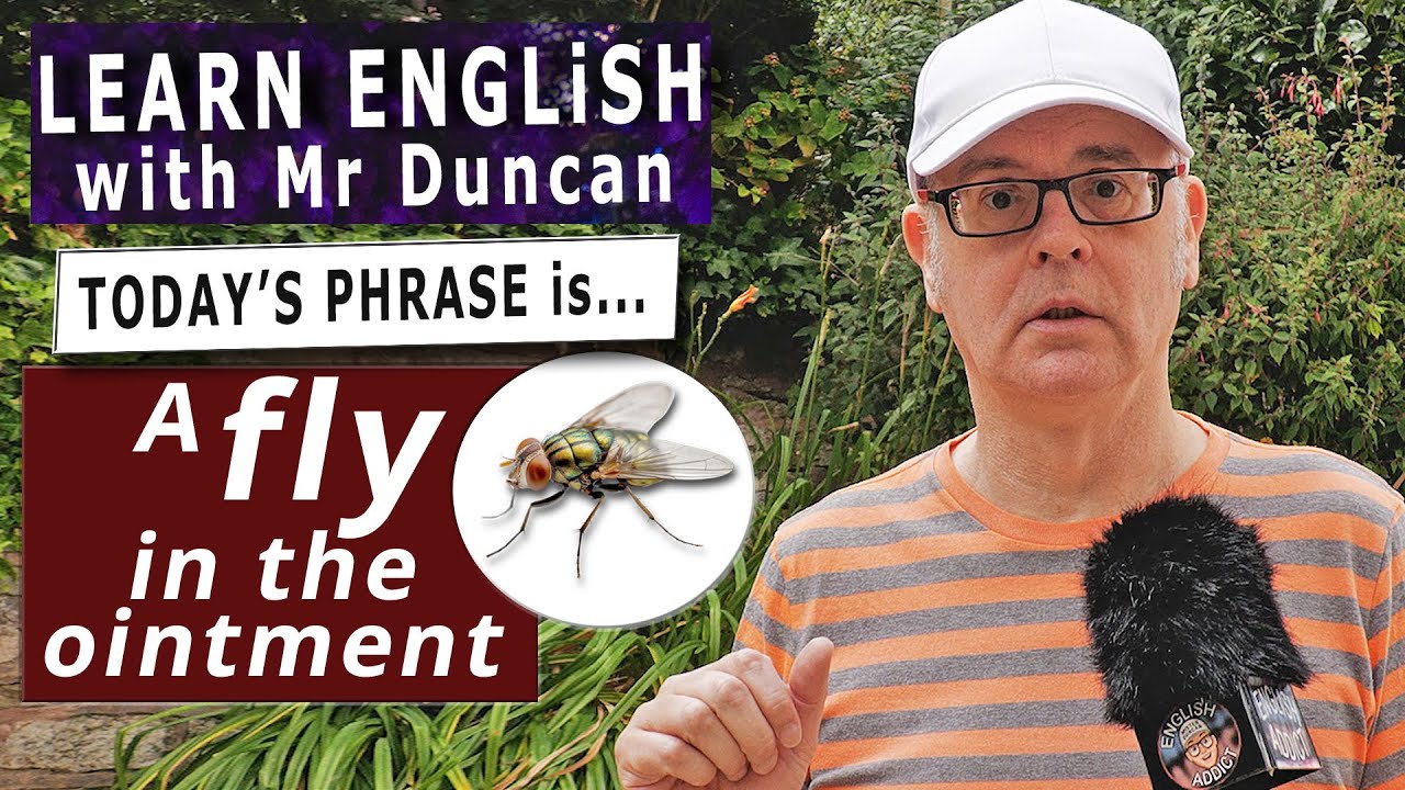 Is there a FLY in the OINTMENT? - Learn English phrases with Mr Duncan #englishaddictwithmrduncan