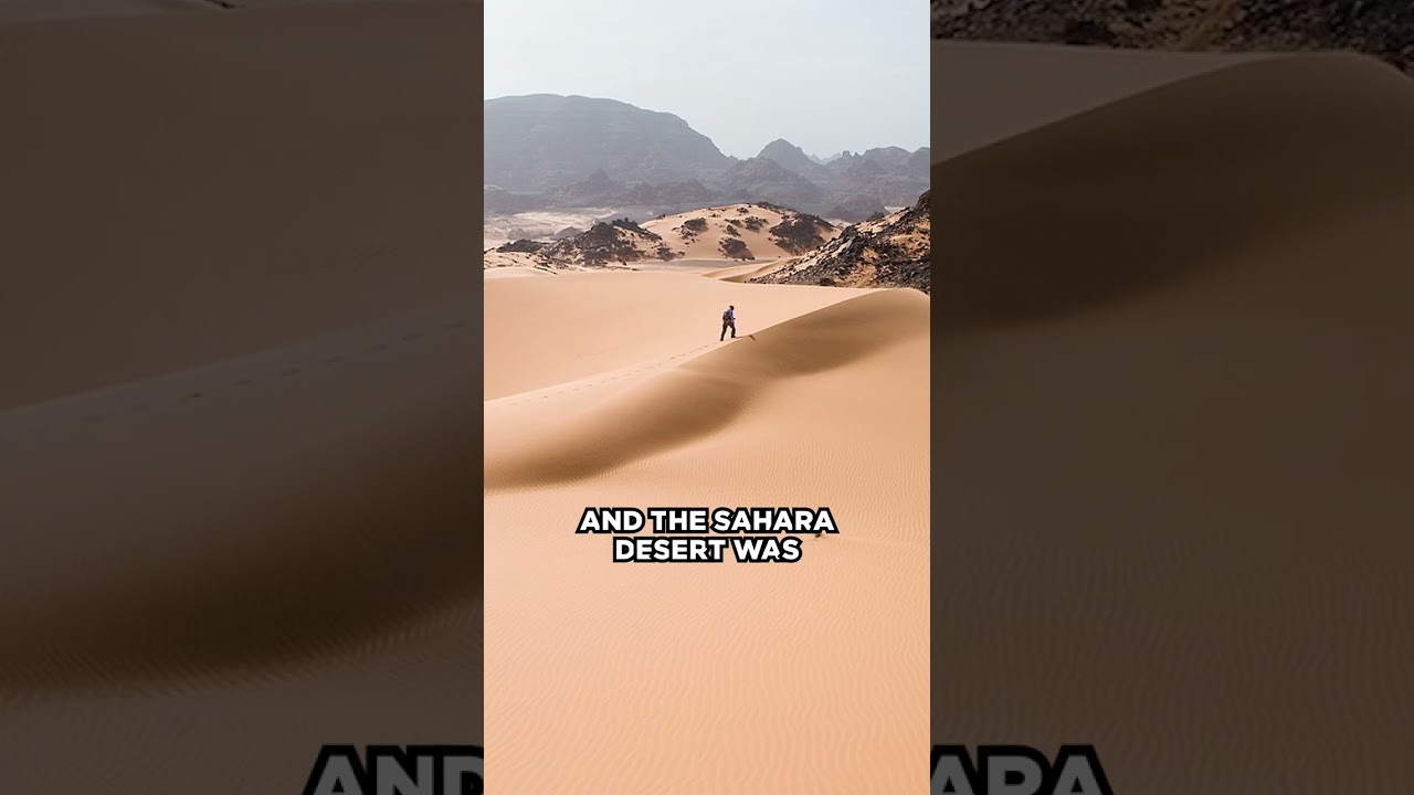 В пустыне Сахара идёт снег?! 🐫