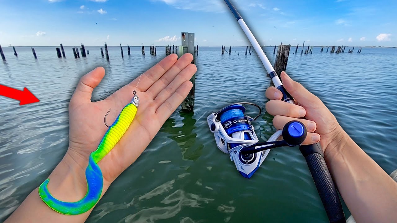 Fishing BIG BAITS for Saltwater GIANTS!! (Catch and Cook)