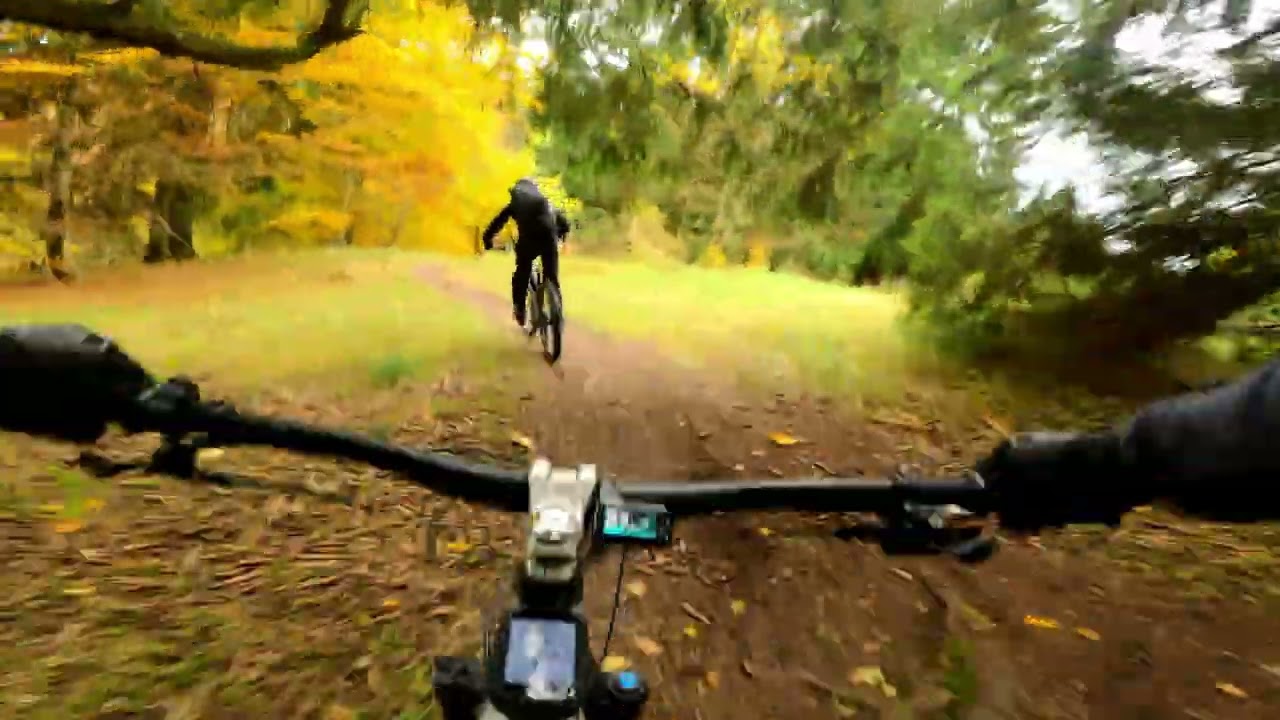 Albstadt Cube Rocks EMTB autmn ride