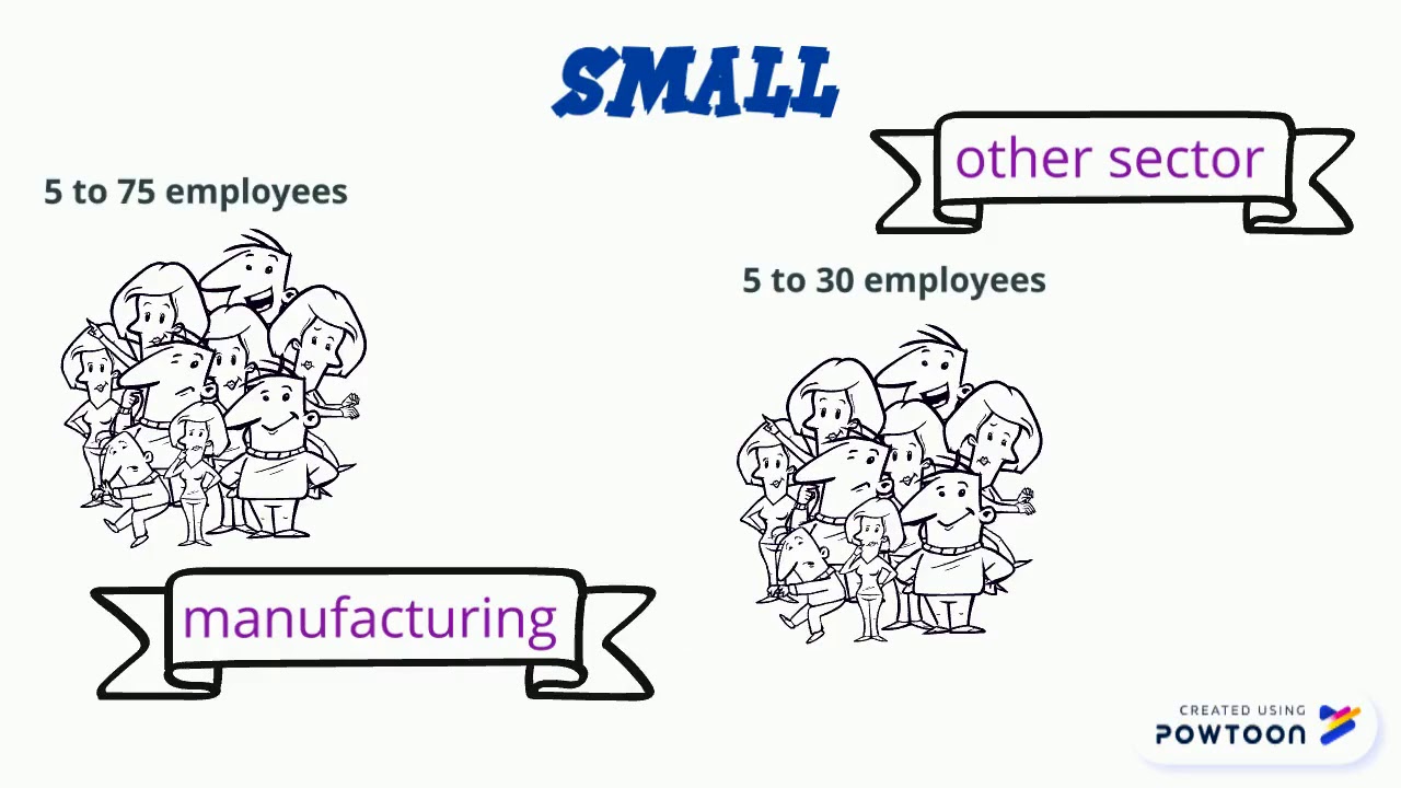 definition of SME