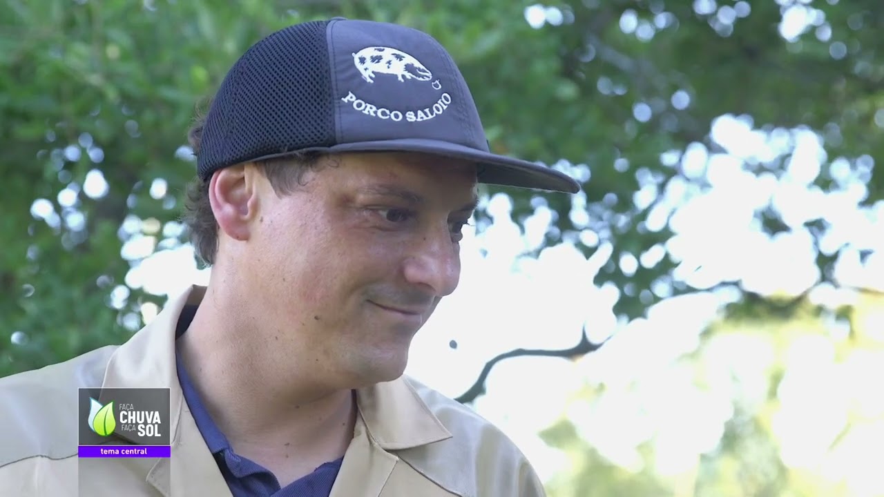 O Porco Malhado de Alcobaça