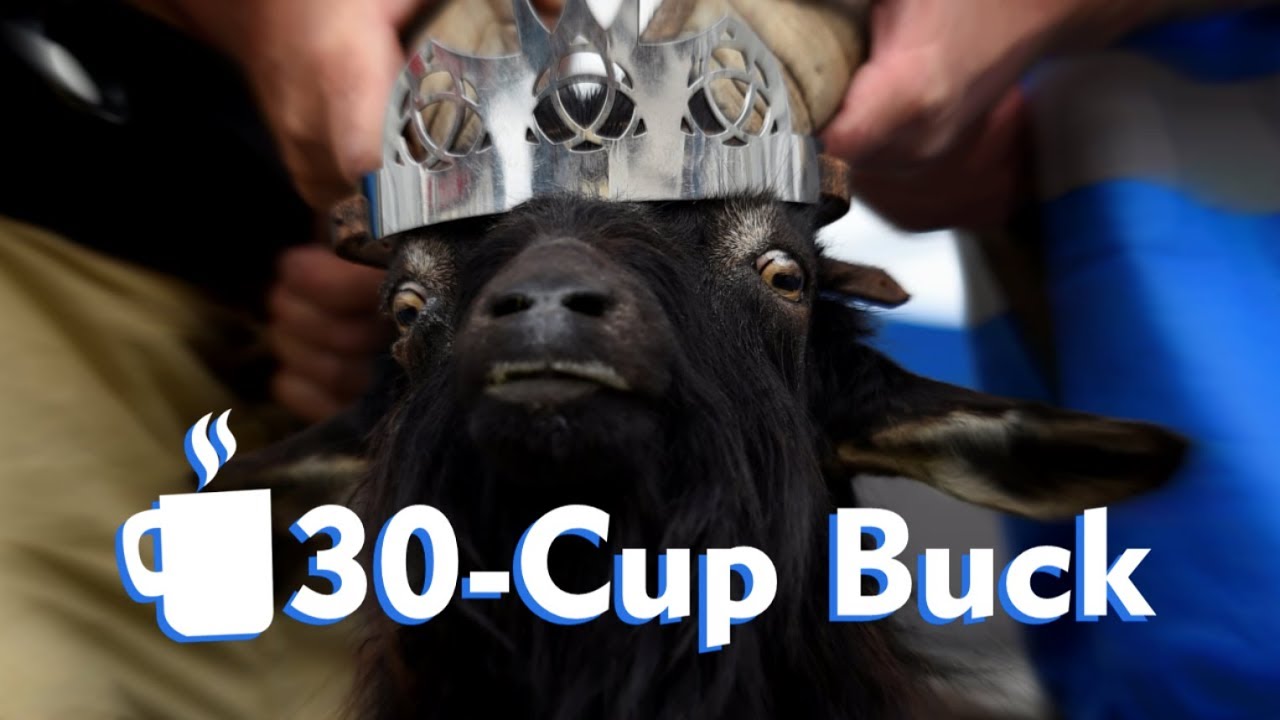 30-Cup Buck | Bucklington