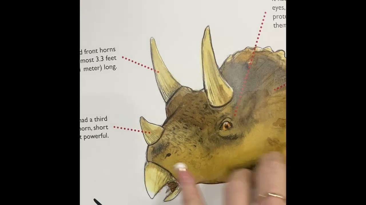 Triceratops / Dinosaur stories