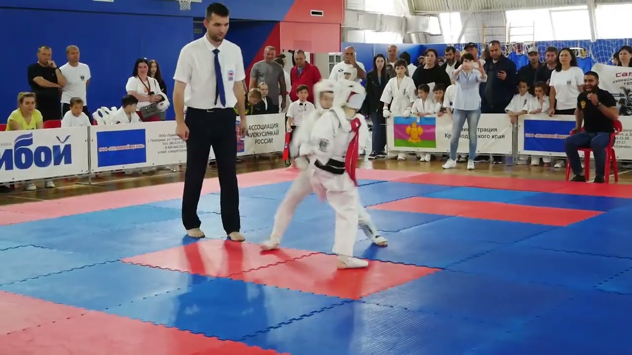 Чемпионат Краснодарского края по киокушинкай, 11.05.2024, Геленджик, Бои 6-15