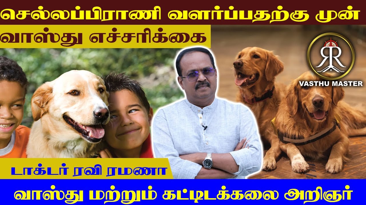 செல்லப்பிராணி வளர்ப்பதற்கு முன் வாஸ்து எச்சரிக்கை | Vasthu Master