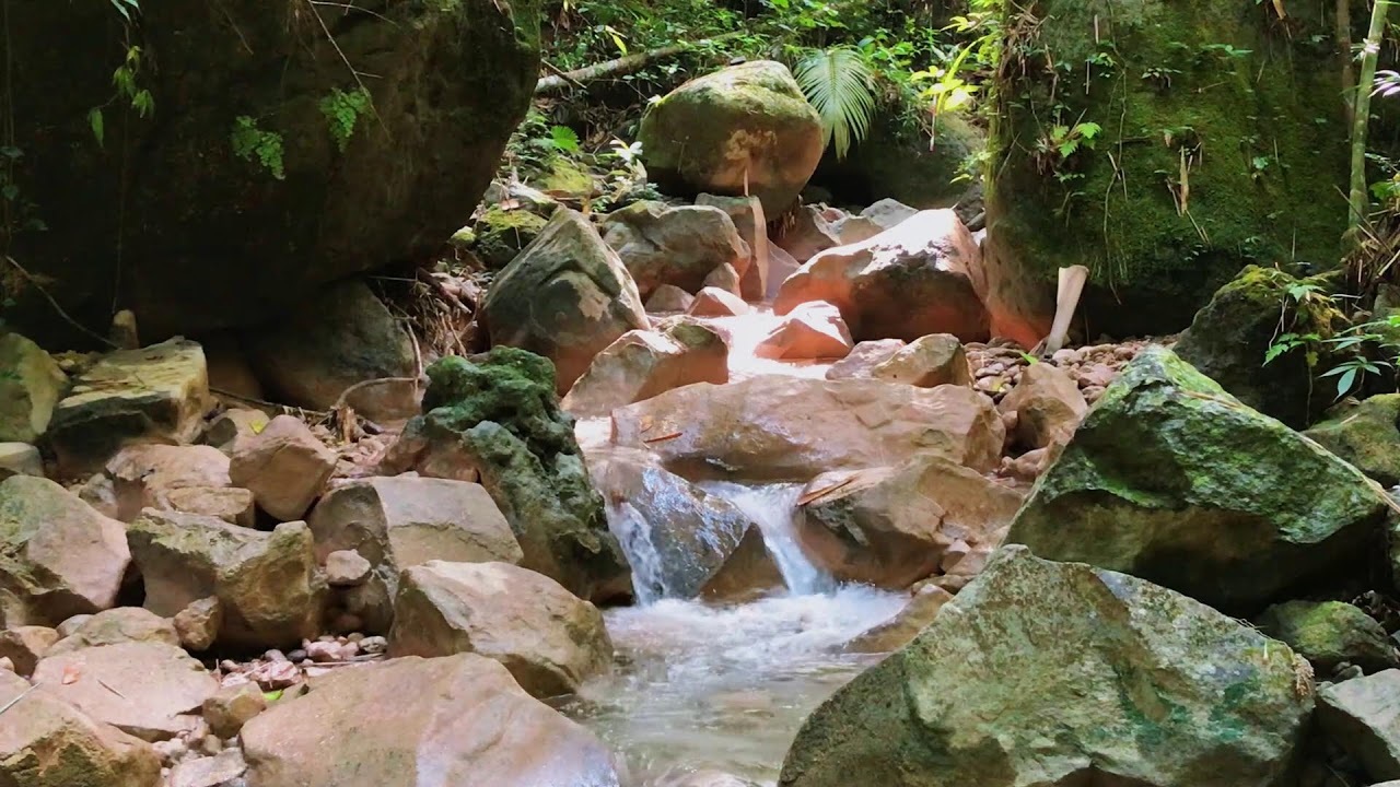 Mountain Stream Flow for Reading, Study