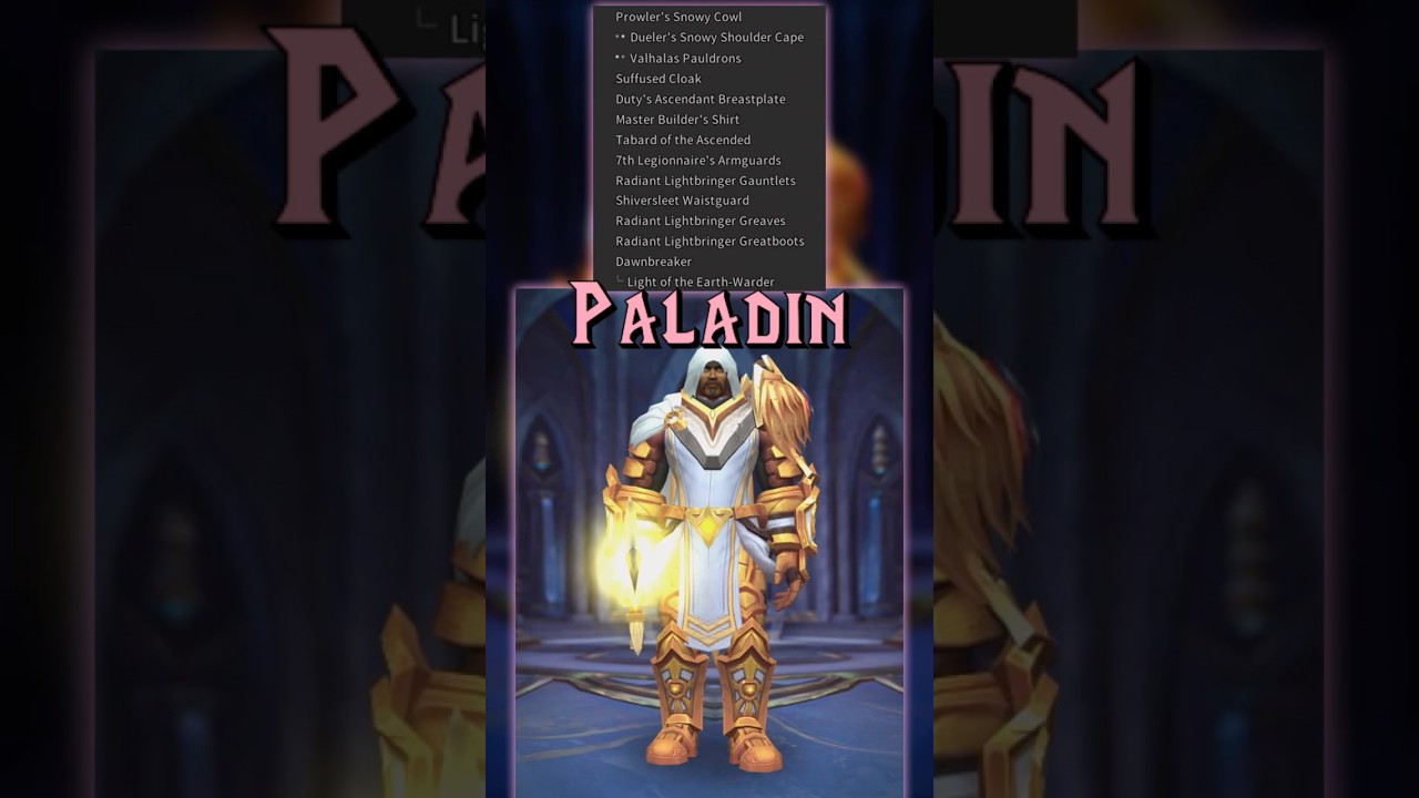 TRANSMOGS - Paladin 