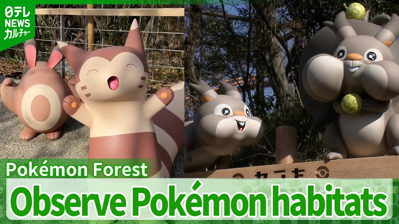 UNVEILED &lsquo;Pok&eacute;Park KANTO&rsquo;: A Sprawling 500-Meter Forest Where Pok&eacute;mon Live in the Wild
