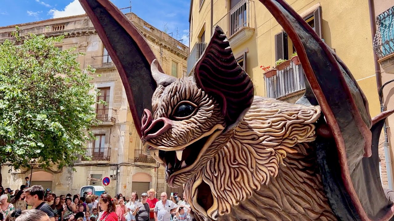 25è Aniversari de l’OS DE VALLS - Mostra de Bestiari Salvatge - Balls de lluïment 2ª Càmera