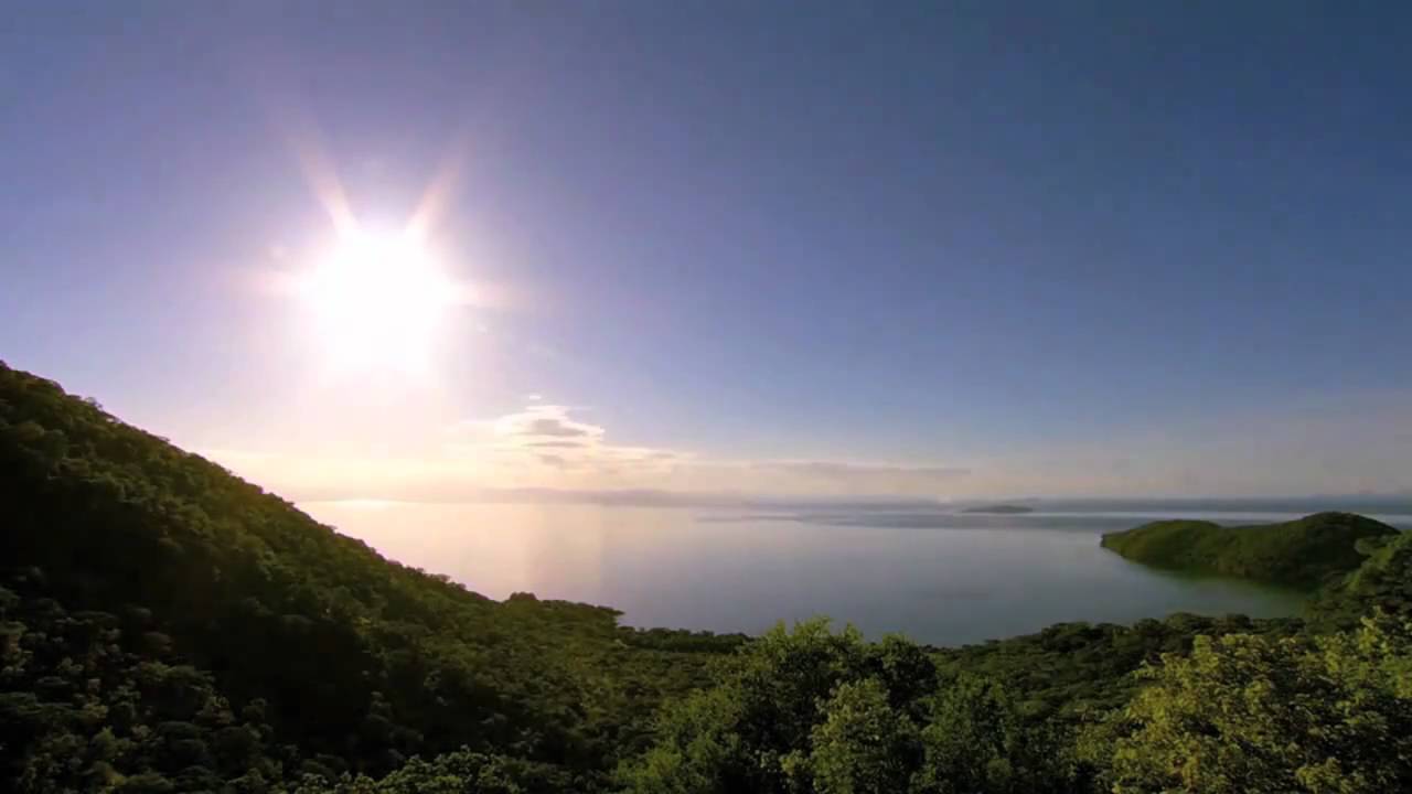 Sunny Lax - P.U.M.A (Music Video) HD