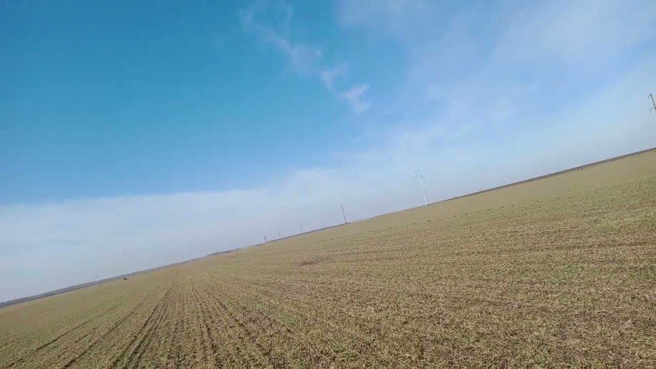 8 березня, продовжуємо вносити добрива.