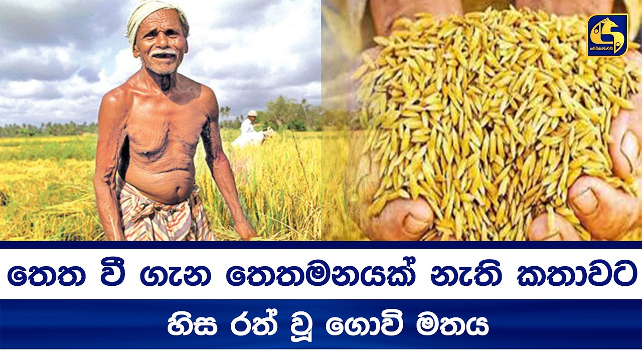 තෙත වී ගැන තෙතමනයක් නැති කතාවට හිස රත් වූ ගොවි මතය
