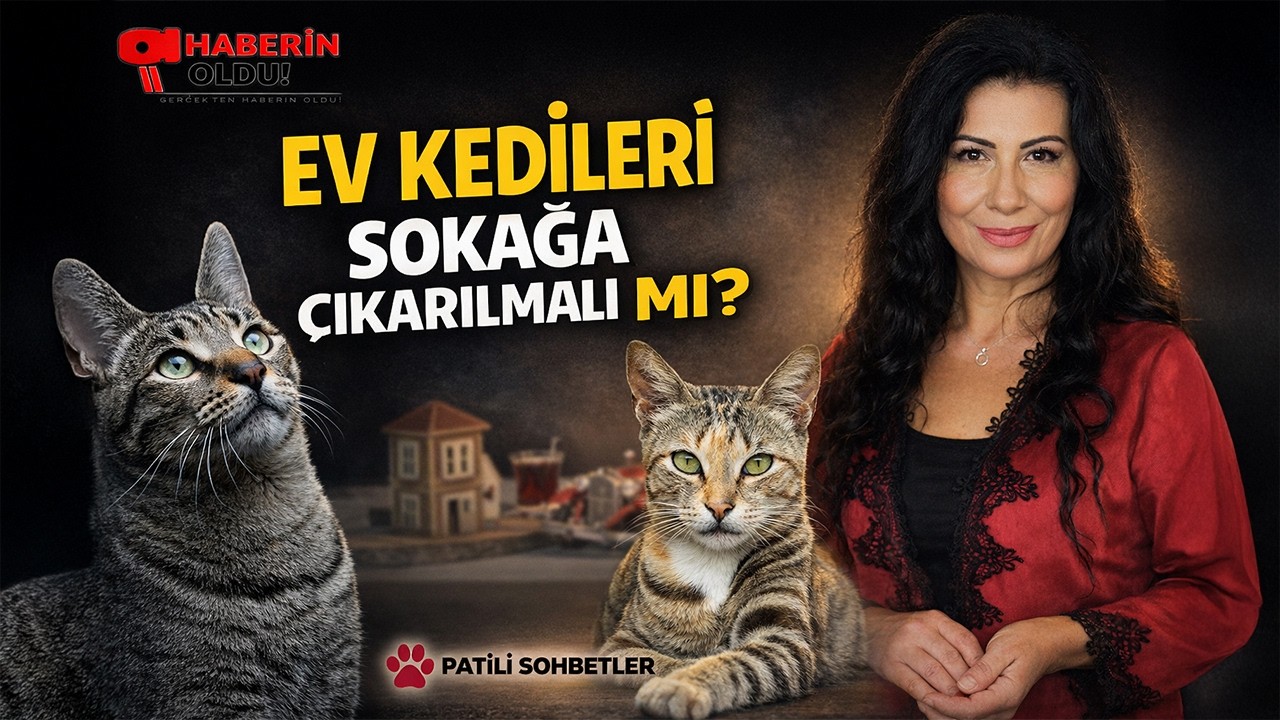 Ev Kedileri Sokağa Çıkarılmalı mı? | Patili Sohbetler