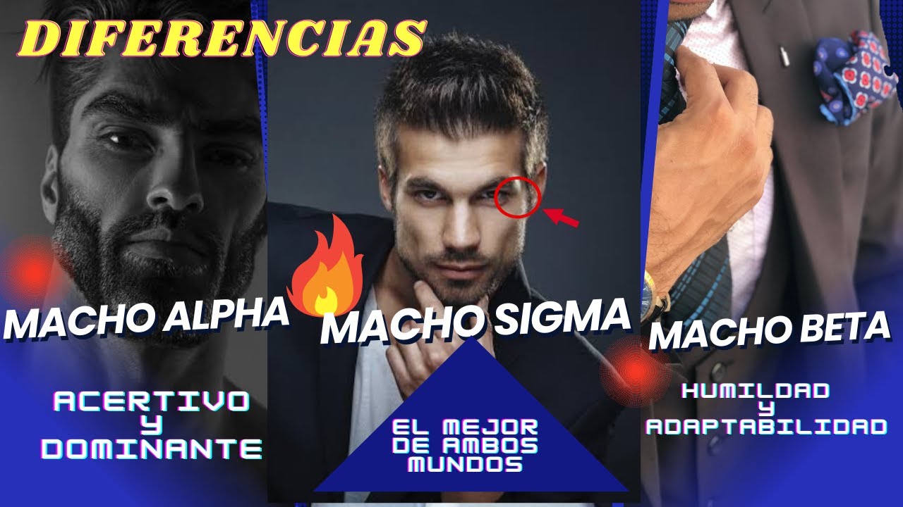 Macho Alpha, Macho Beta, MACHO SIGMA diferencias, Gerarquia Masculina, caracter&iacute;sticas MACHO SIGMA