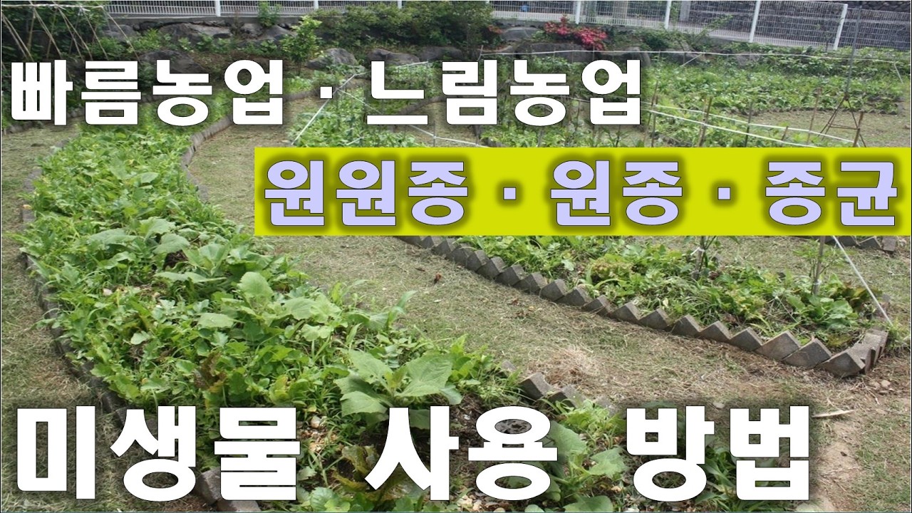 [동영상- 341] (느림농업- 14)  빠르게 키우기 빠름농업ㆍ느리게 키우기 느림농업 - 미생물 사용 방법