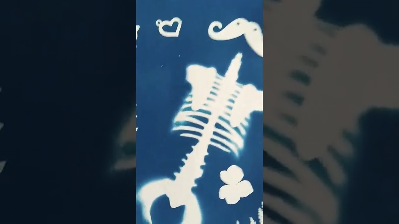 Moustache man surrealist #cyanotype test print alternative process photography blueprint